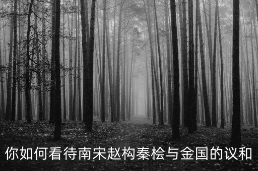 你如何看待南宋趙構秦檜與金國的議和