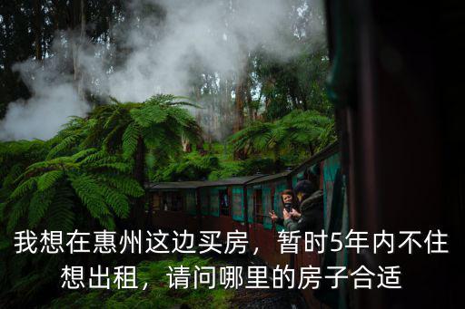 我想在惠州這邊買房，暫時(shí)5年內(nèi)不住想出租，請(qǐng)問哪里的房子合適