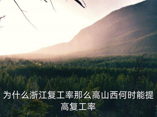 為什么浙江復工率那么高山西何時能提高復工率