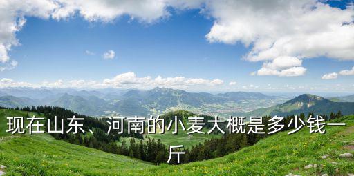青島市區(qū)小麥現(xiàn)在多少錢一斤,今年夏糧小麥多少錢一斤