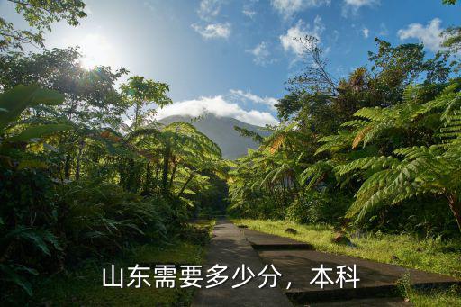山東卷多少分上本科,山東需要多少分
