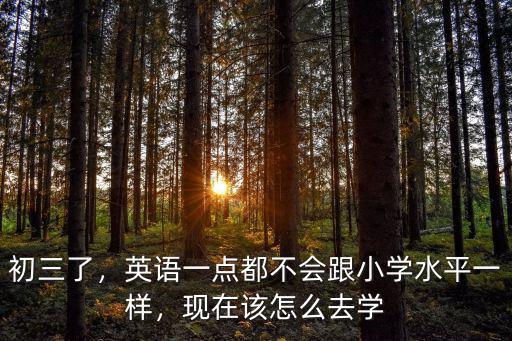 廣州初四英語怎么學(xué)好,廣州星群英語培訓(xùn)