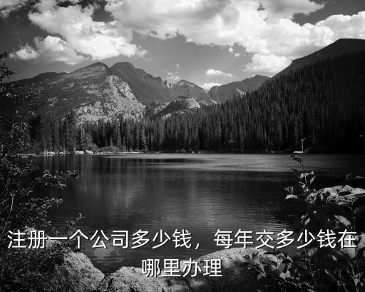 深圳注冊一個公司一年交多少費用,注冊一個公司多少錢