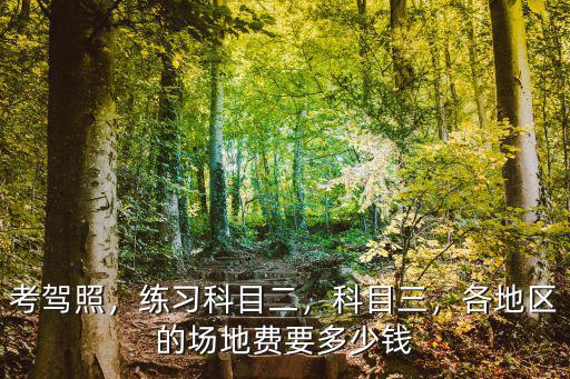 考駕照，練習科目二，科目三，各地區的場地費要多少錢
