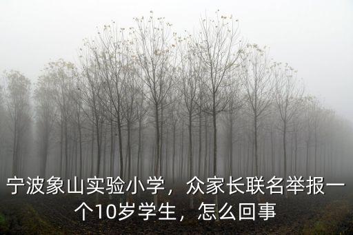 寧波有多少個實驗小學,寧波有哪些私立小學