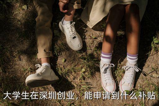 深圳大學生創業補貼哪里租,大學生在深圳創業