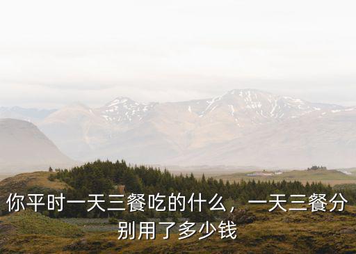你平時一天三餐吃的什么，一天三餐分別用了多少錢