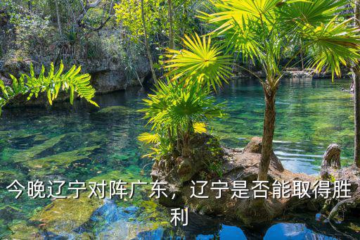 今晚遼寧對陣廣東，遼寧是否能取得勝利