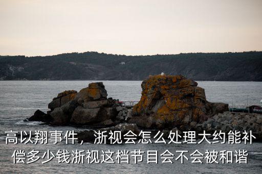 浙江賠償高以翔多少錢,高以翔突然離世