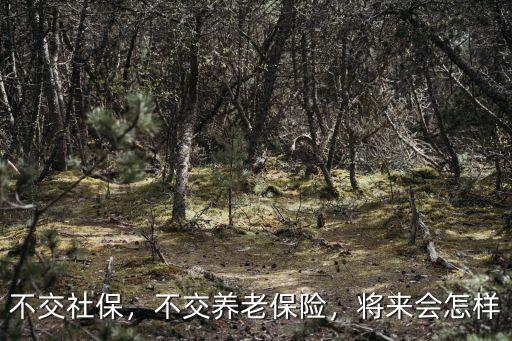 不交社保，不交養老保險，將來會怎樣