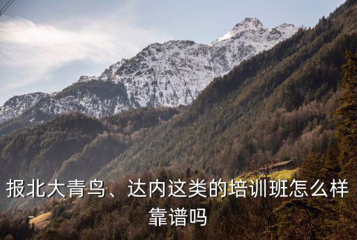 廣州北大青鳥培訓班怎么樣,北大青鳥學校怎樣