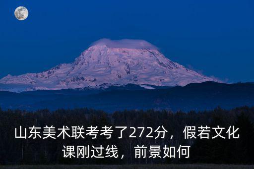 山東美術(shù)聯(lián)考考了272分，假若文化課剛過線，前景如何
