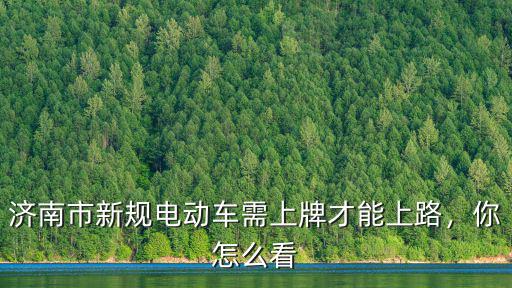 濟南市新規電動車需上牌才能上路，你怎么看