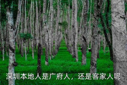 深圳本地人是廣府人，還是客家人呢