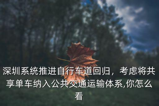 深圳系統(tǒng)推進自行車道回歸，考慮將共享單車納入公共交通運輸體系,你怎么看