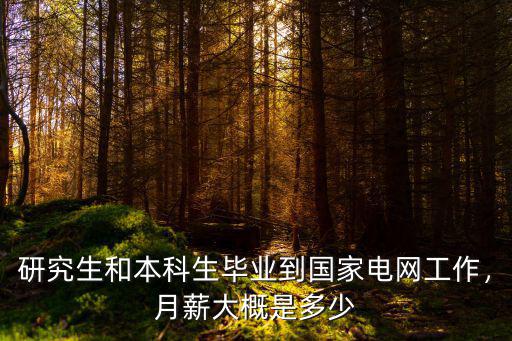 研究生和本科生畢業(yè)到國(guó)家電網(wǎng)工作，月薪大概是多少