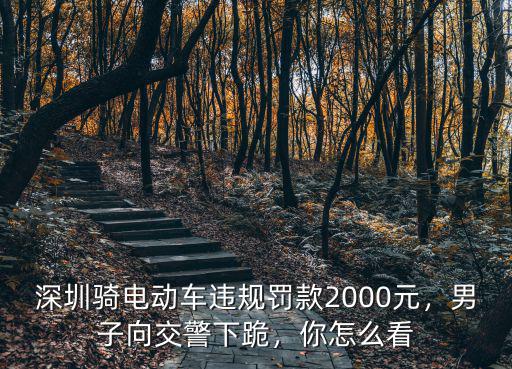 深圳騎電動車違規罰款2000元，男子向交警下跪，你怎么看