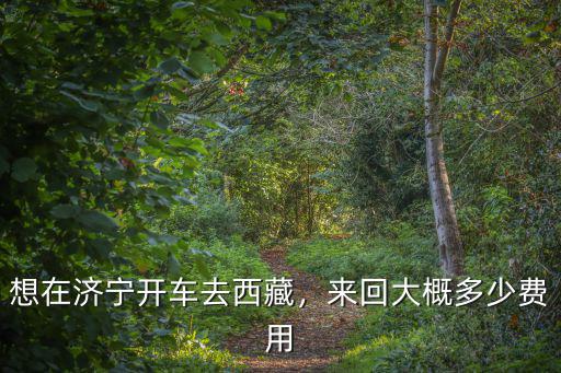 巨野到濟寧開車多少錢,想在濟寧開車去西藏