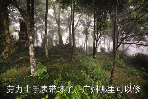 勞力士手表帶壞了，廣州哪里可以修
