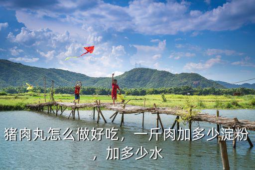 潮州豬肉丸一斤肉多少淀粉,一斤肉加多少淀粉