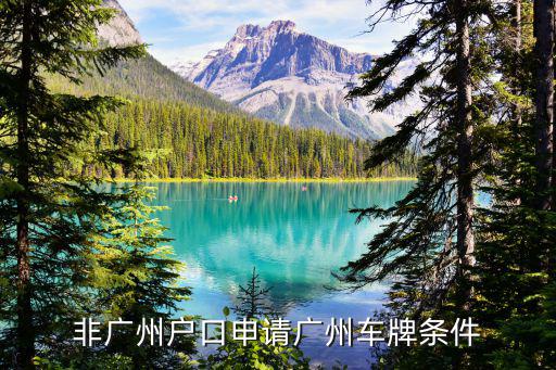 非廣州市戶口怎么搖車牌,非廣州戶口申請(qǐng)廣州車牌條件