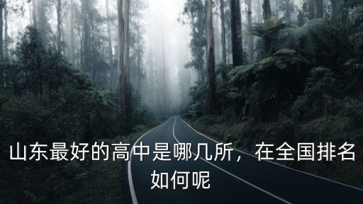 棗莊市實驗高中在山東省排名多少,棗莊市在山東排第幾