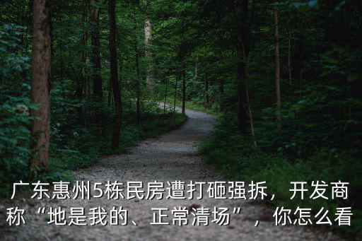 廣東惠州5棟民房遭打砸強(qiáng)拆，開發(fā)商稱“地是我的、正常清場”，你怎么看