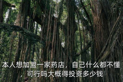 本人想加盟一家藥店，自己什么都不懂，可行嗎大概得投資多少錢