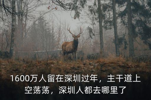 1600萬人留在深圳過年，主干道上空蕩蕩，深圳人都去哪里了
