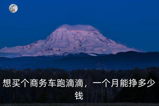 泰安市跑滴滴一個(gè)月掙多少錢,想買個(gè)商務(wù)車跑滴滴