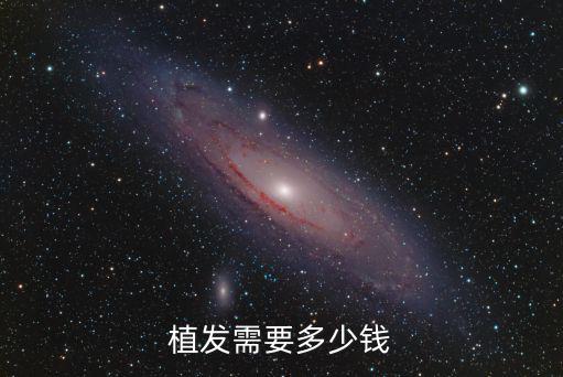 棗莊植發(fā)要多少錢,植發(fā)需要多少錢