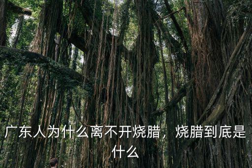廣東燒臘的前景怎么樣,廣東人為什么離不開(kāi)燒臘