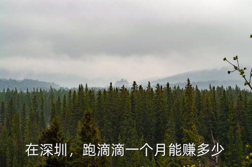 深圳跑摩的的一個月能掙個多少,在農(nóng)村靠打摩的掙錢嗎