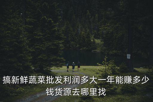 杭州批發(fā)蔬菜一年能賺多少錢(qián),賣(mài)菜一年能賺多少錢(qián)