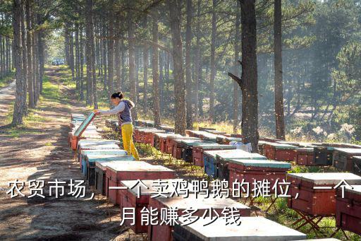 在杭州找鴨子多少錢一個月,有在杭州的嗎