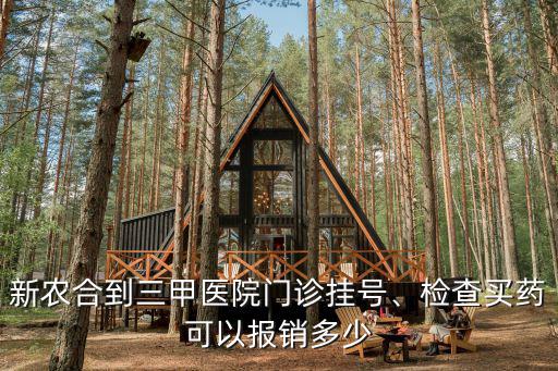 新農合到三甲醫院門診掛號、檢查買藥可以報銷多少