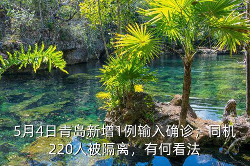 一個人在青島隔離多少人,同機220人被隔離