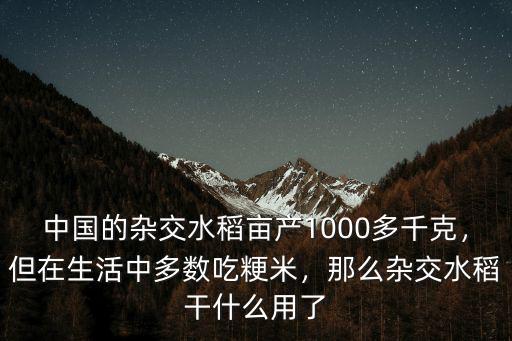 汕頭種了多少超級(jí)雜交水稻,雜交水稻以前畝產(chǎn)多少