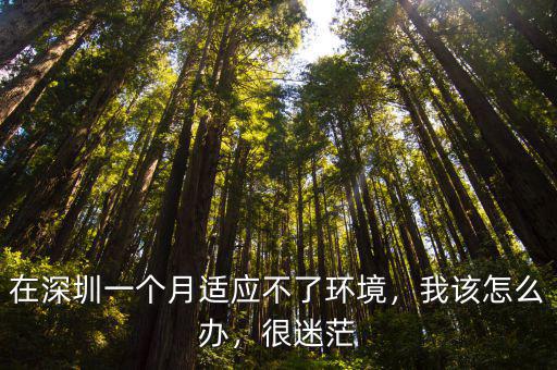 到深圳一個月沒有上班怎么辦好,在深圳一個月適應(yīng)不了環(huán)境