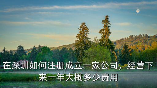 在深圳如何注冊成立一家公司，經(jīng)營下來一年大概多少費用
