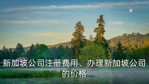 廣州辦理新加坡公司價格多少,新加坡公司注冊需要多少錢