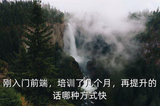 剛入門前端，培訓了幾個月，再提升的話哪種方式快