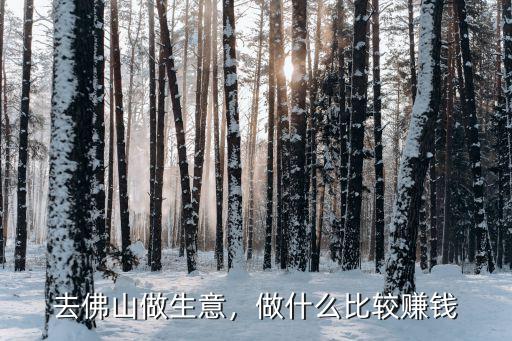 去佛山做生意，做什么比較賺錢