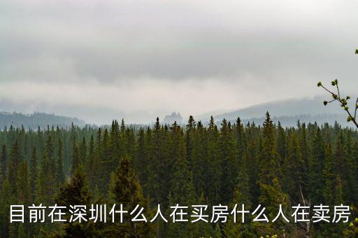 深圳搶房時代在哪里,目前在深圳什么人在買房