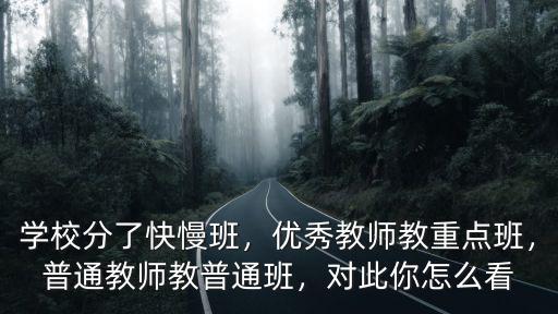學(xué)校分了快慢班，優(yōu)秀教師教重點(diǎn)班，普通教師教普通班，對此你怎么看