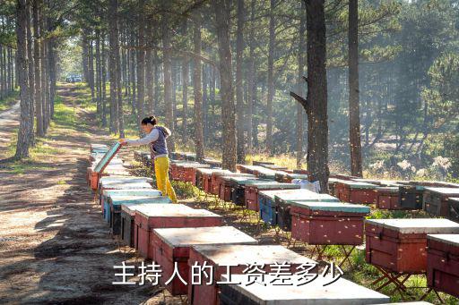 浙江衛(wèi)視主持人收入是多少?,如何評(píng)價(jià)浙江衛(wèi)視主持人華少