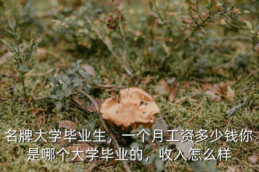 名牌大學(xué)畢業(yè)生，一個(gè)月工資多少錢你是哪個(gè)大學(xué)畢業(yè)的，收入怎么樣