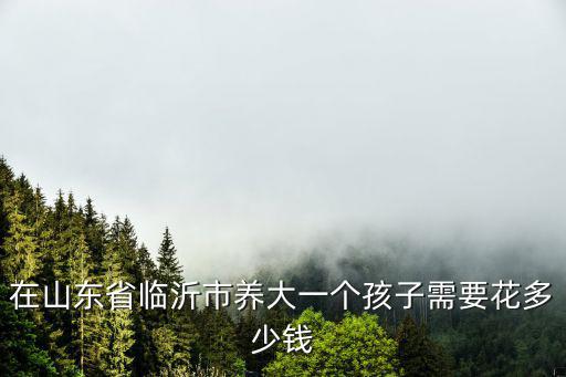 要進山東省實驗小學需要花多少錢,花幾萬進實驗小學值得嗎