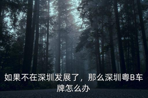 如果不在深圳發展了，那么深圳粵B車牌怎么辦