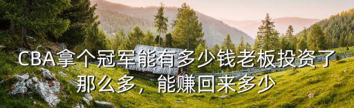 CBA拿個冠軍能有多少錢老板投資了那么多，能賺回來多少